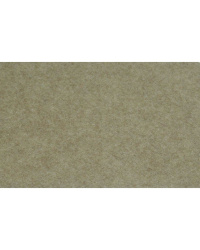 372-1500x1500