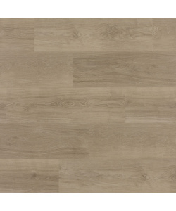 zenn-orlando-click-plank-scaled-1500x1500