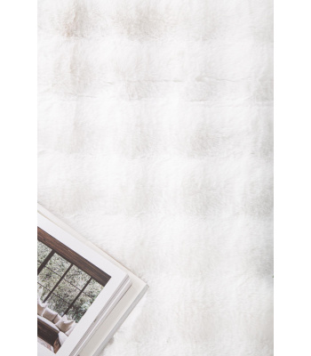 bubble_white_-11