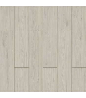 fw001-1500x1500