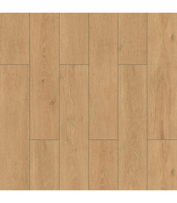 fw0010-1500x1500