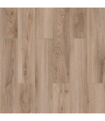 fw008-1500x1500