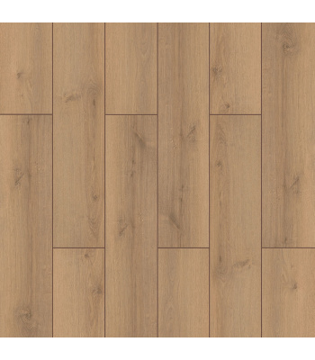 fxl019-1500x1500