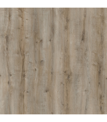 meric-1500x1500