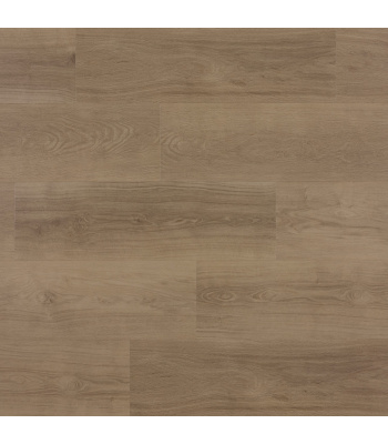 zenn-monsanto-click-plank-scaled-1500x1500